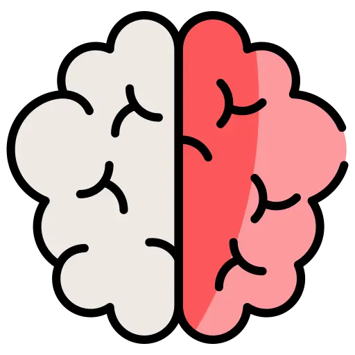 brain