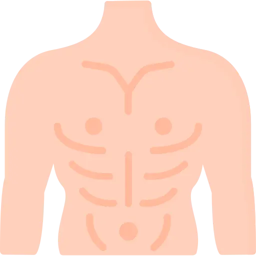 chest