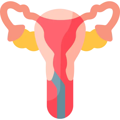 endometrial