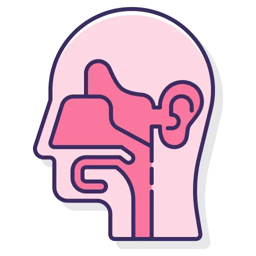 head