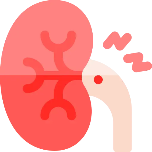 kidney stone