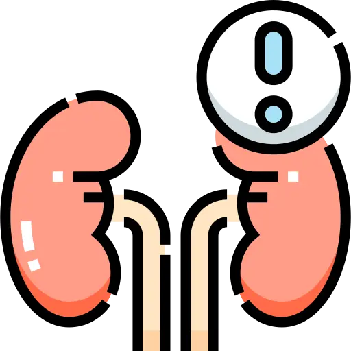 kidney