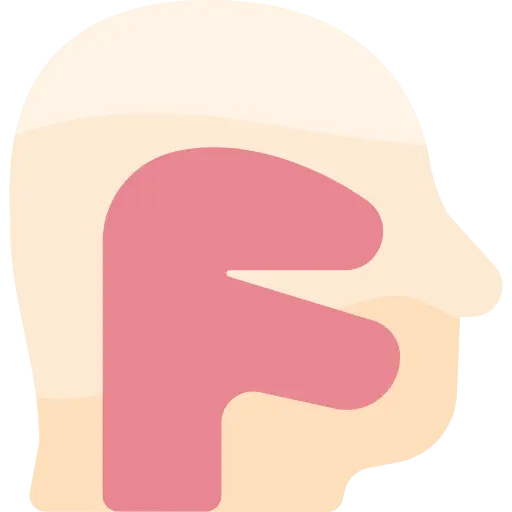 pharynx