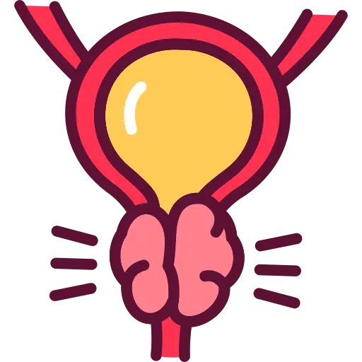 prostate