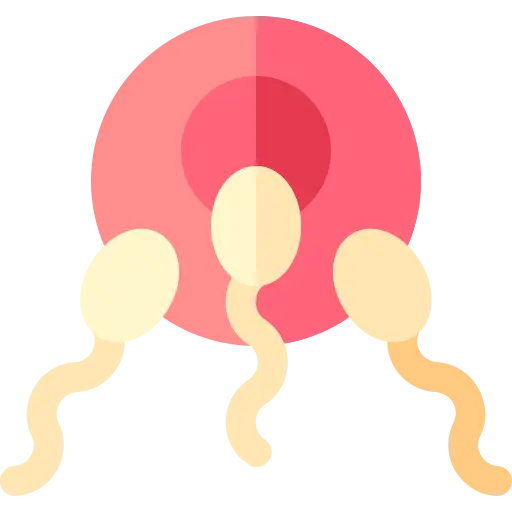 reproductive
