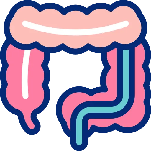 sigmoidoscopy