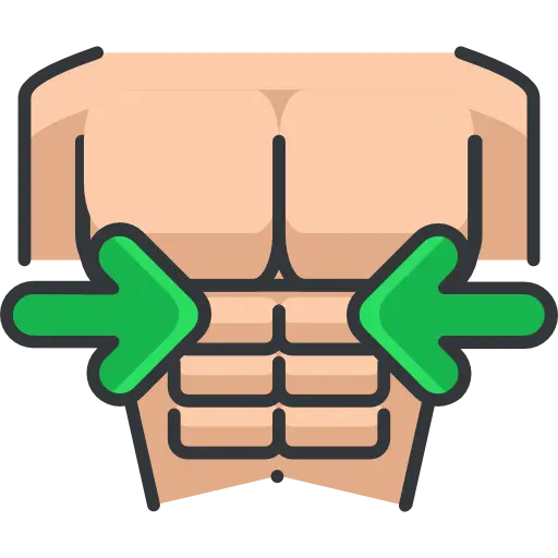 torso
