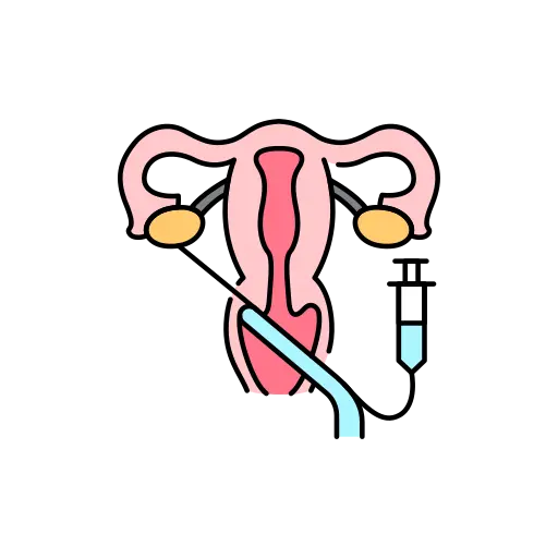 uterus
