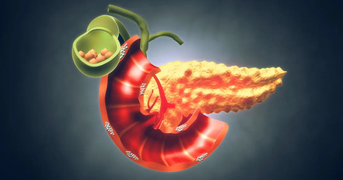 Illustration showing the pancreas and the surrounding digestive organs — stomach, liver, duodenum and spleen